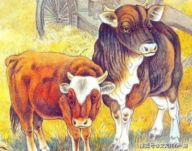 今期生肖最好找家有六畜帮你万,正确生肖全面释义、前沿解答解释落实