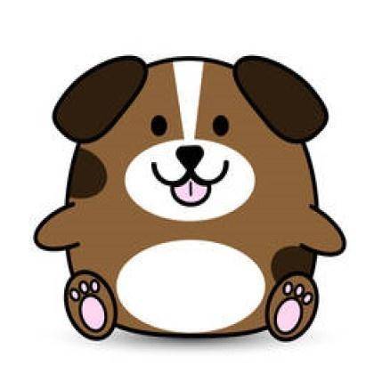 今期生肖十一头，鸡狗升天定有码打一正确生肖的全面释义、解释与落实、构建解答解释落实