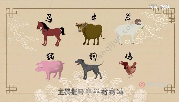今期生肖最好找家有六畜帮你万,正确生肖全面释义、前沿解答解释落实