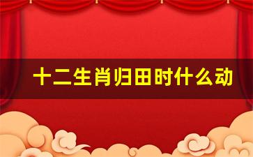 春回地暖打一最佳生肖详细解答、专家解答解释落实